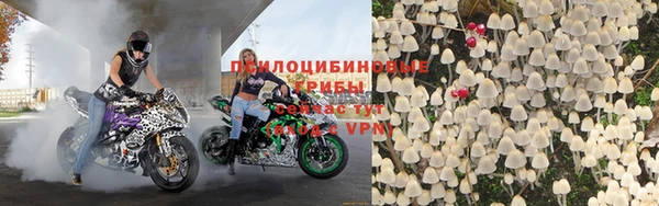 прущая мука Богородск