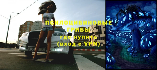 стаф Беломорск