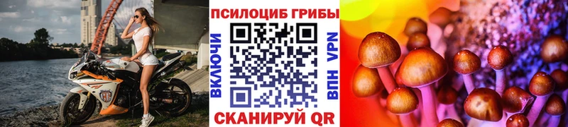 OMG вход  цена наркотик  Валдай  Псилоцибиновые грибы Magic Shrooms 